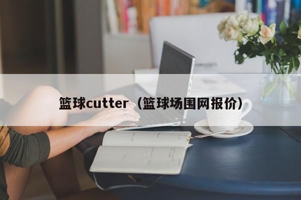 篮球cutter（篮球场围网报价）